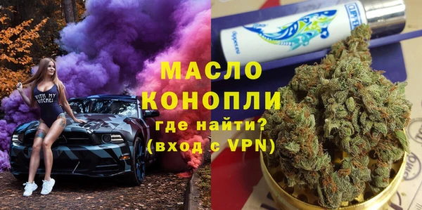 сатива Ельня
