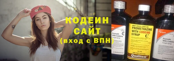 мдпв Елизово