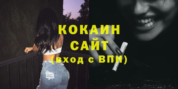 сатива Ельня