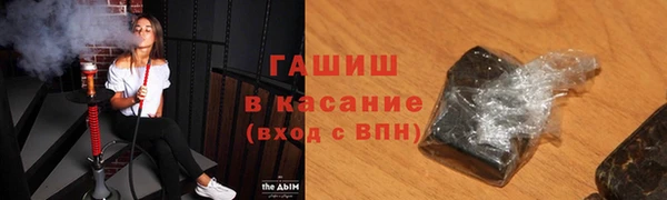 сатива Ельня