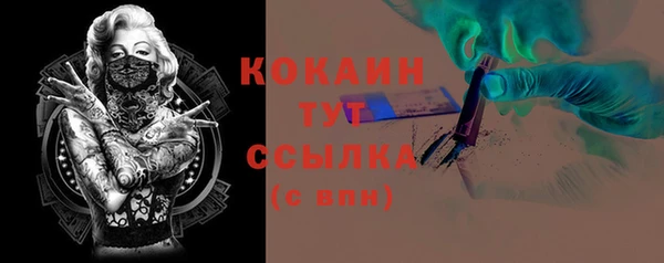 сатива Ельня