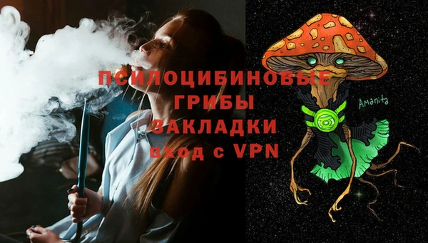 сатива Ельня