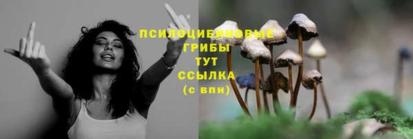 скорость Пролетарск