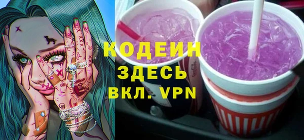 сатива Ельня