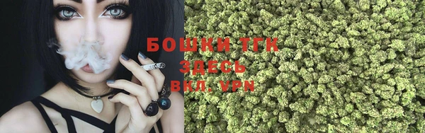 сатива Ельня