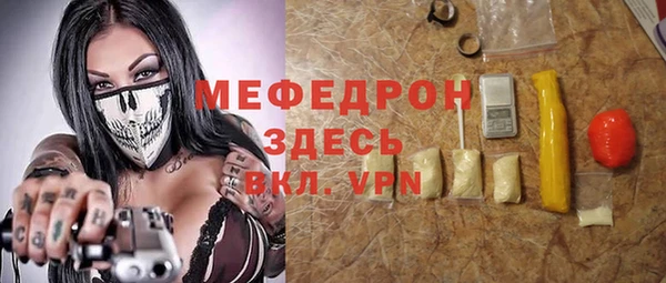 сатива Ельня