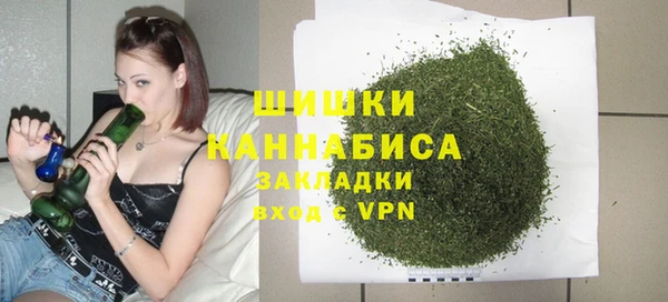мдпв Елизово