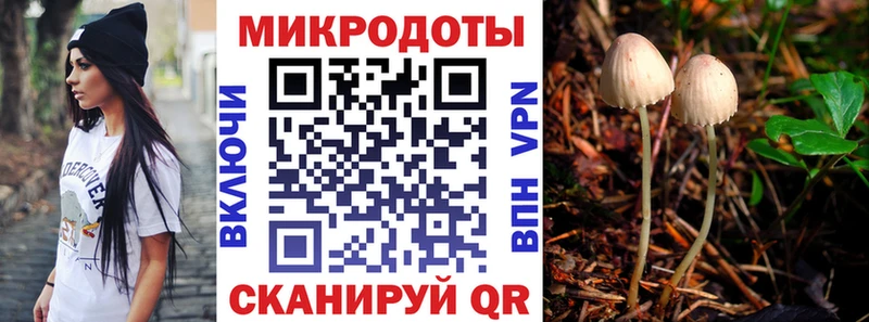 Псилоцибиновые грибы Magic Shrooms  Салехард 